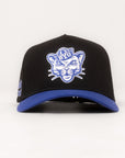 BYU Fade Hat Black Royal Blue