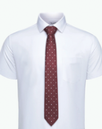 Immortal Maroon Polka-dot Tie